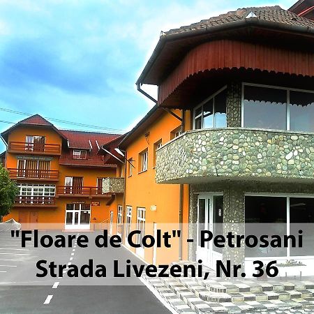Floare De Colt Petrosani Ξενοδοχείο Εξωτερικό φωτογραφία