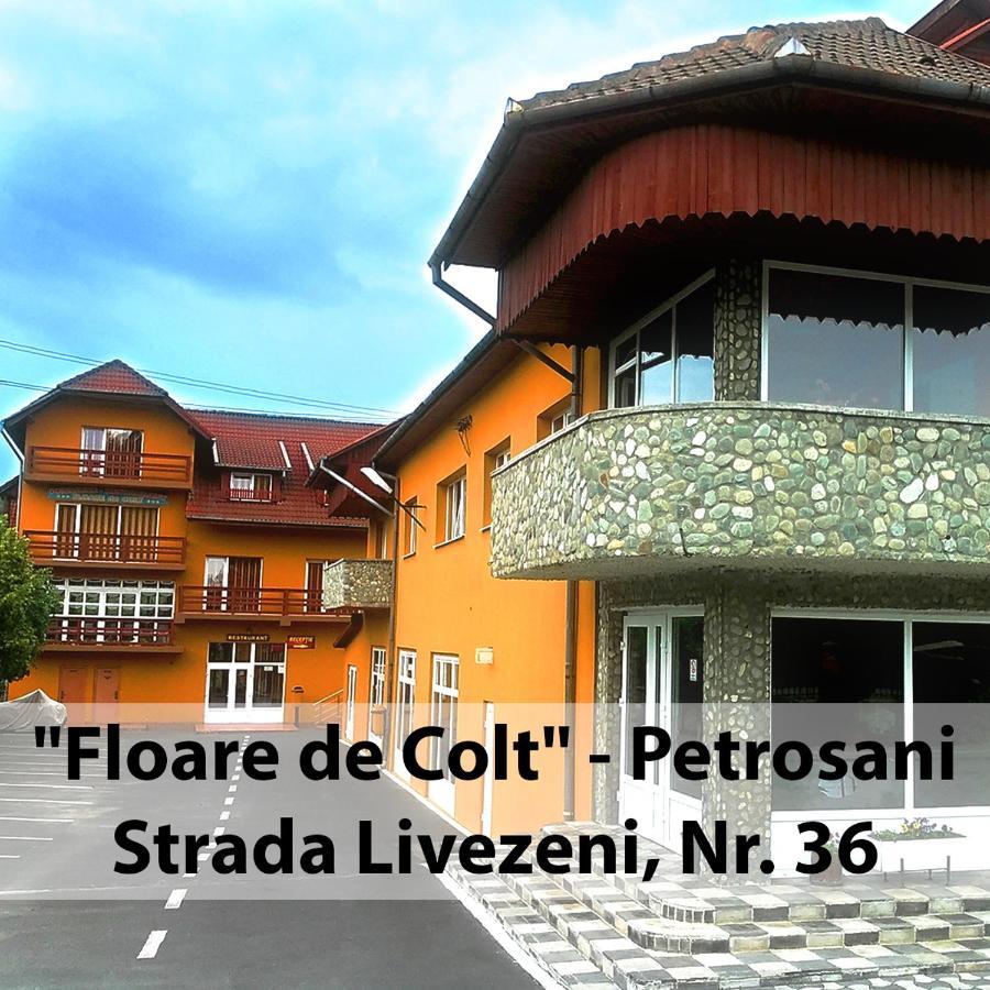 Floare De Colt Petrosani Ξενοδοχείο Εξωτερικό φωτογραφία